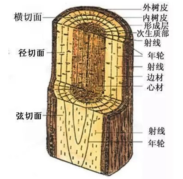 实木家具有色差正常吗！实木家具色差有原因！