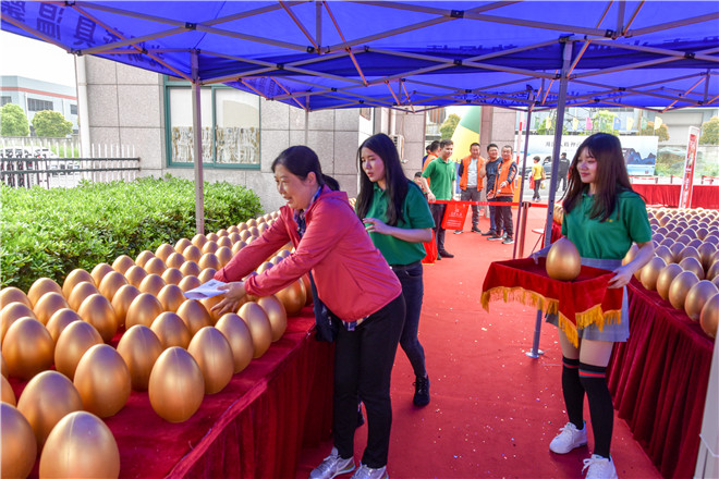 踏春好“实”节｜pg电子官方网站2019春季大型厂购会圆满成功