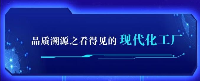 pg电子官方网站720超级品牌，线上线下狂欢盛典，见证品牌力量