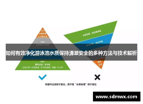 如何有效净化游泳池水质保持清澈安全的多种方法与技术解析